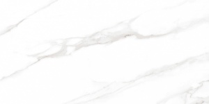  Calacatta Regal Grey белый полированный