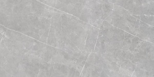  AOR4 NAOF Murano Gray Semi Polished Rectified