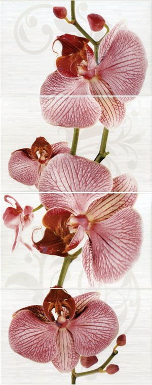  Фиори 377087 Орхидея (из 4 шт.)