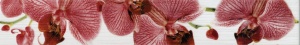  Фиори 267081 Орхидея