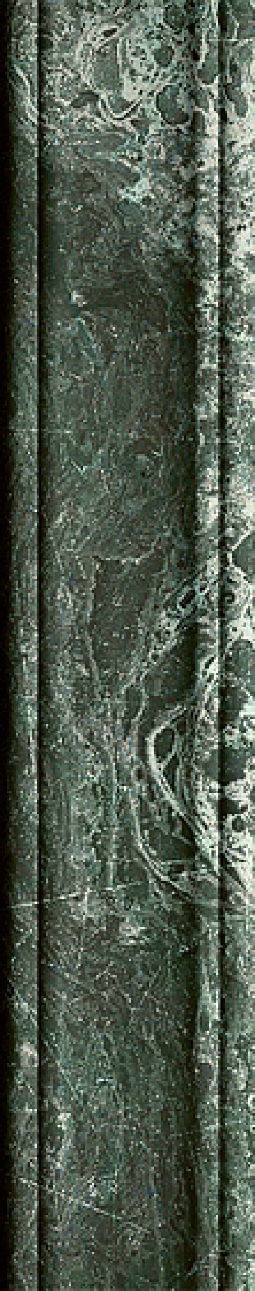  4101213 Dandy Mrs Green