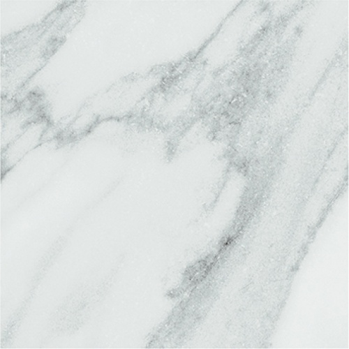  4101192 Dandy White