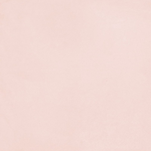  Futura Rose