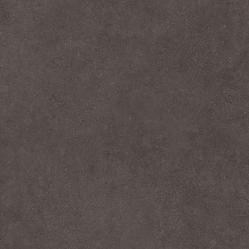  4101183 Nok Ebony