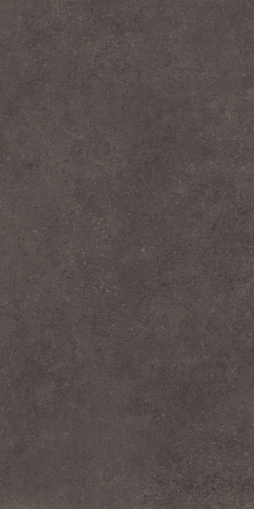  4101218 Nok Ebony