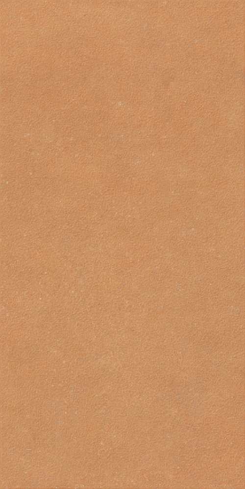  4101185 Nok Grains Terra
