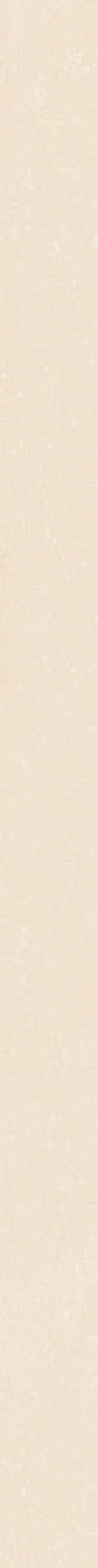  4101238 Nok Ivory