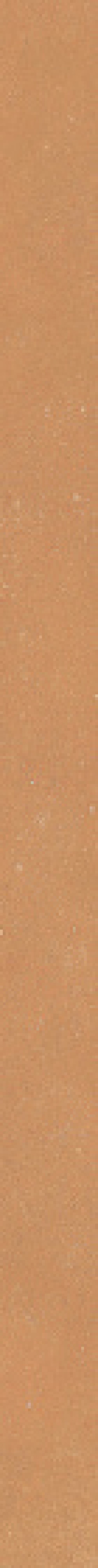  4101240 Nok Terra