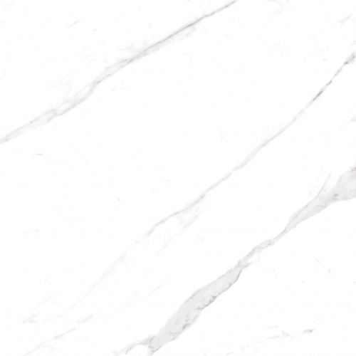  Calacatta Domino Polished