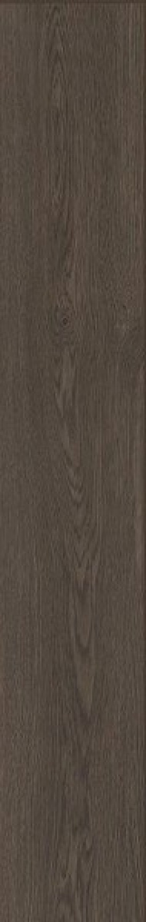 Poetry Wood Mud Nat