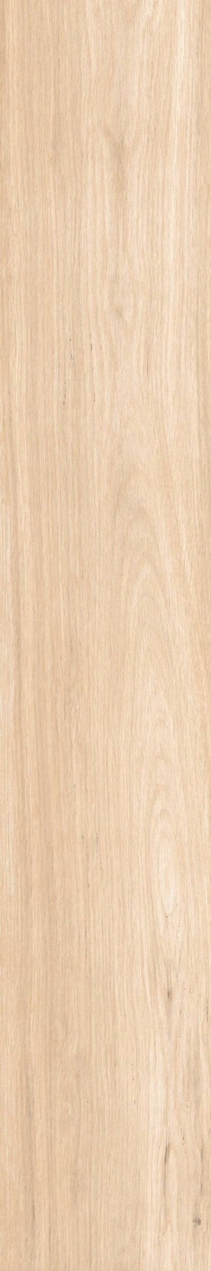  AB 1157W Aroma Wood Beige