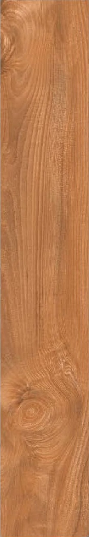 AB 1064W Barma Brown