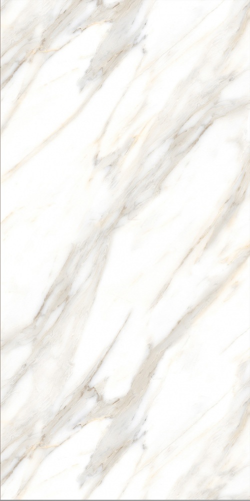  AB 1016M Calacatta Gold Matt