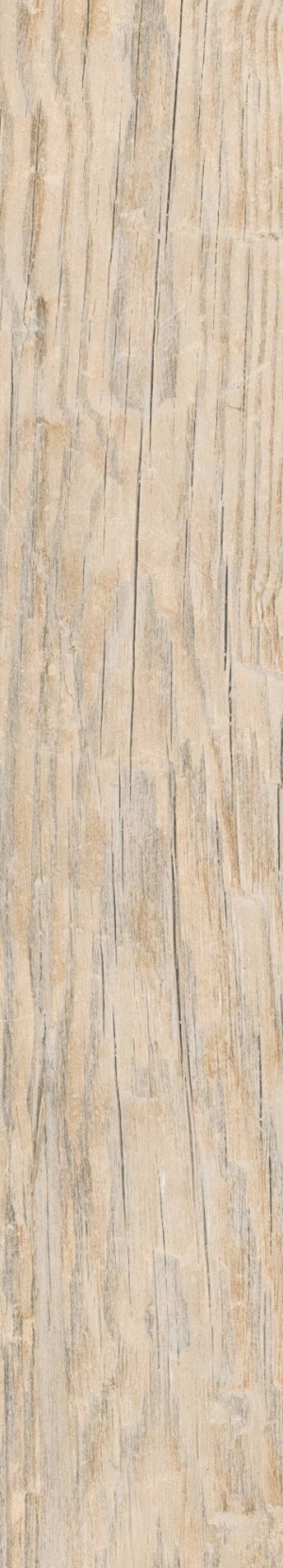  AB 1104W Forest Essenze Beige