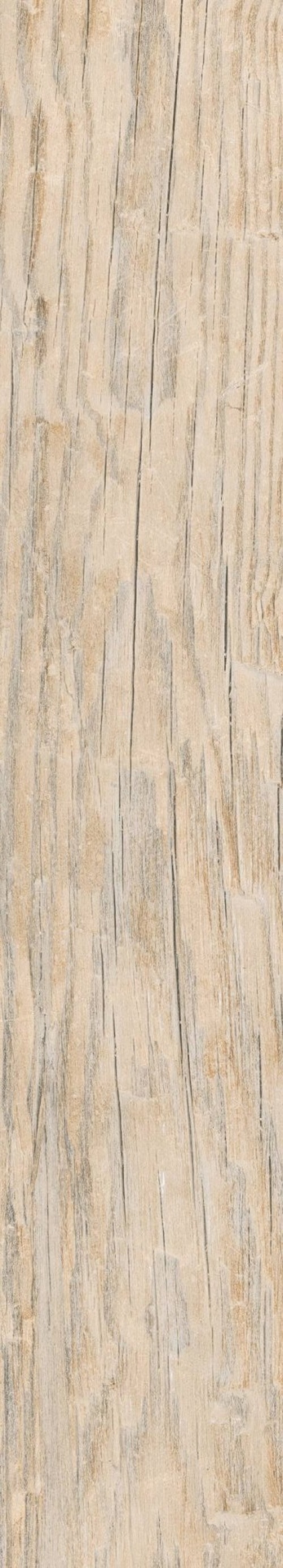  AB 1104W Forest Essenze Beige