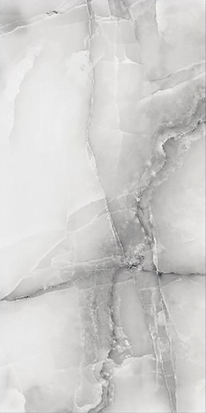  PRO 0041G Antysky Silver gloss