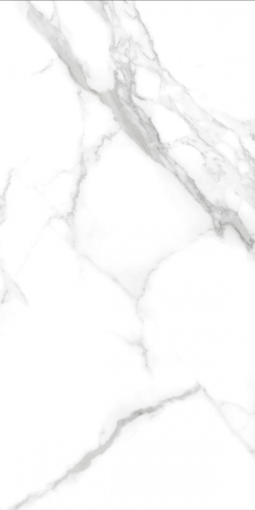  PRO 0031G Statuario Crone gloss