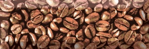  Decor (pz) Coffee Beans 03