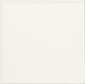  Liso Brillo Blanco