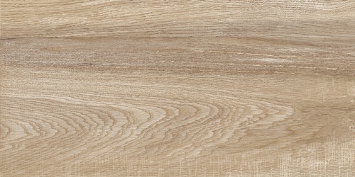  TWU2550EPH40 Euphoria