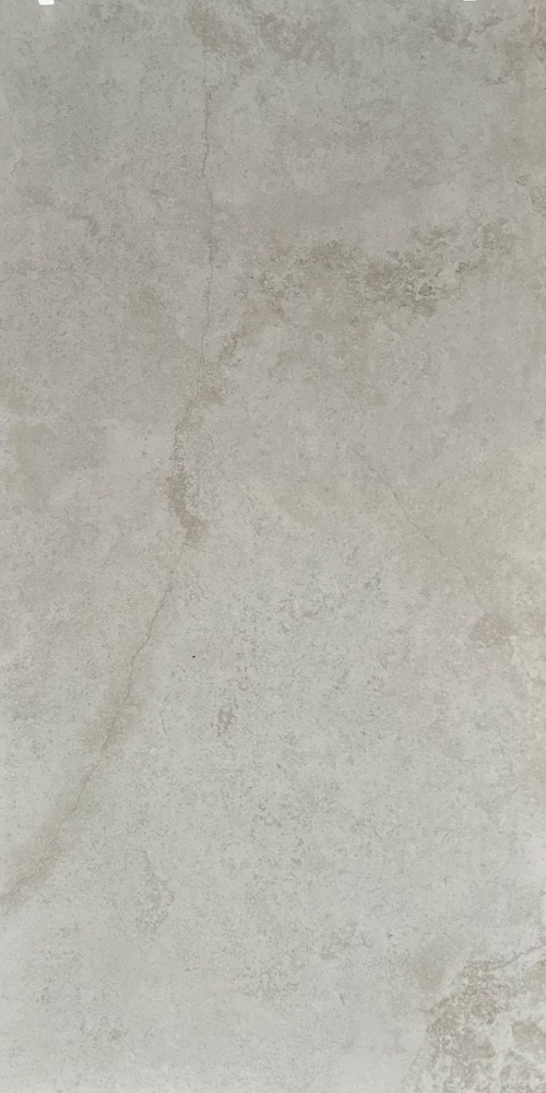  Fossil Grigio