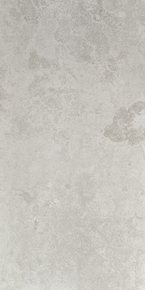  Fossil Ivory