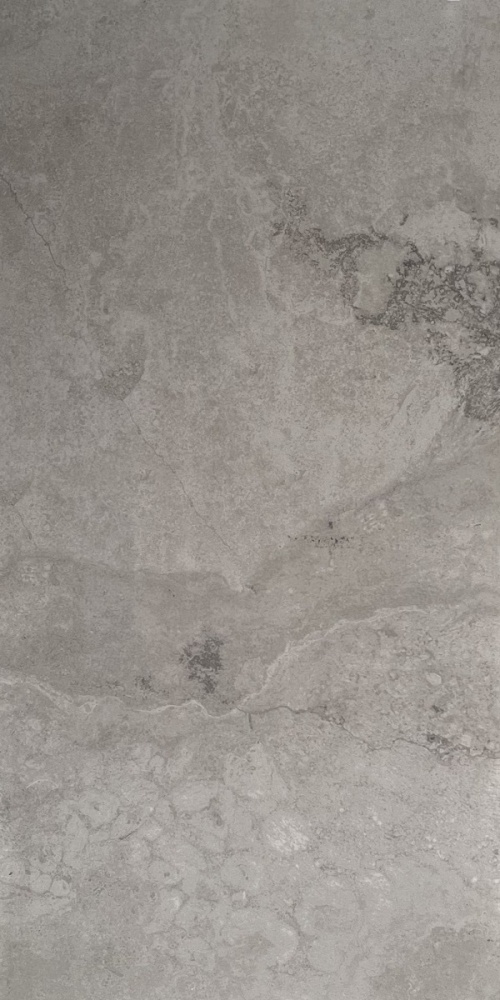  Fossil Anthrazite