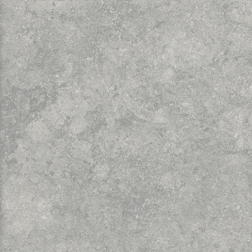  n160826 Fossil Gris 2 cm