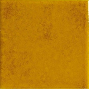 Genuin Amber