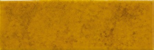  Genuin Amber
