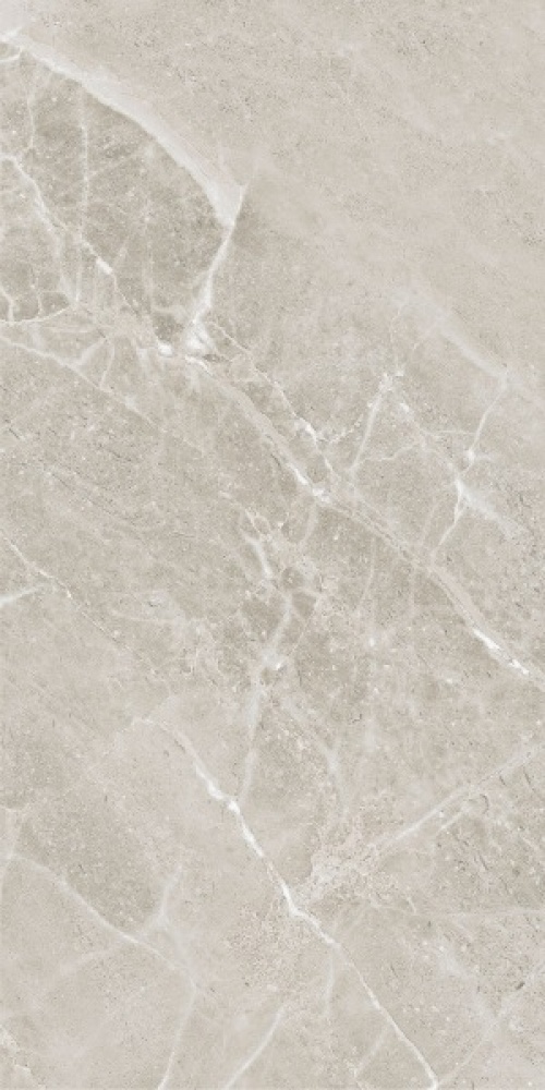  Colemanite Stone Grey Rect