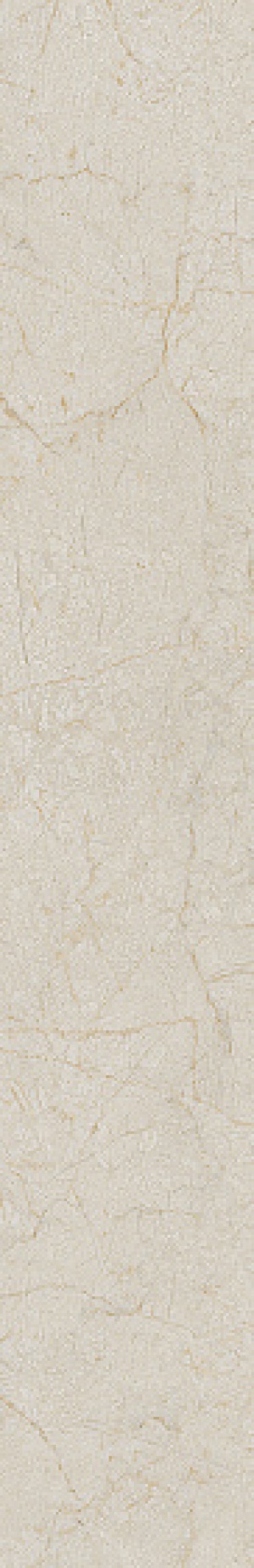  Black&Cream Cream-R Dune
