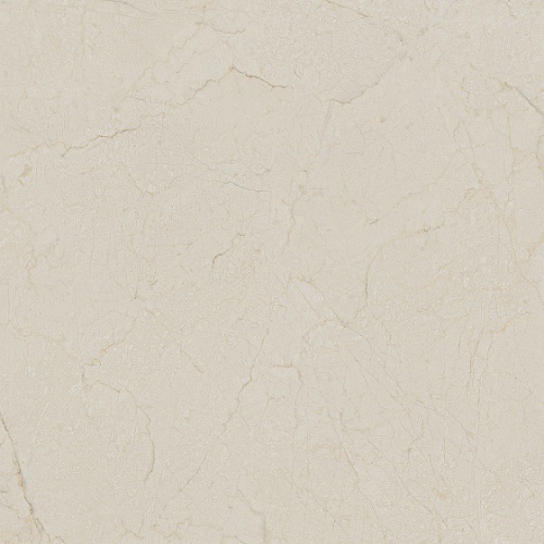  Black&Cream Cream-R Dune