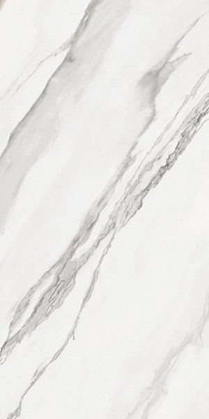  Nesta White RC