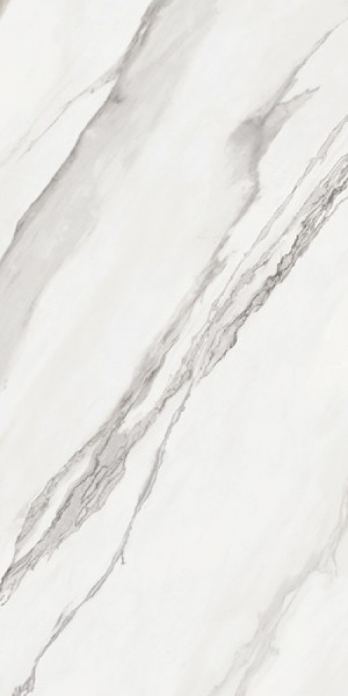 Nesta White RC