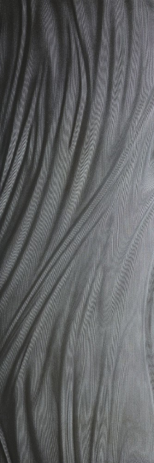  IG6P310534 Luce Silver nat.