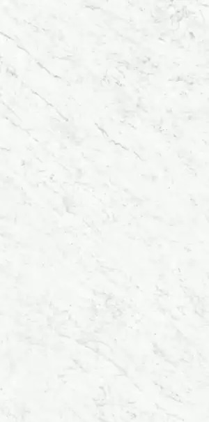  PK612555 Marmi Classici Bianco Carrara Silk