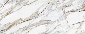  Calacatta Paonazzo Polished