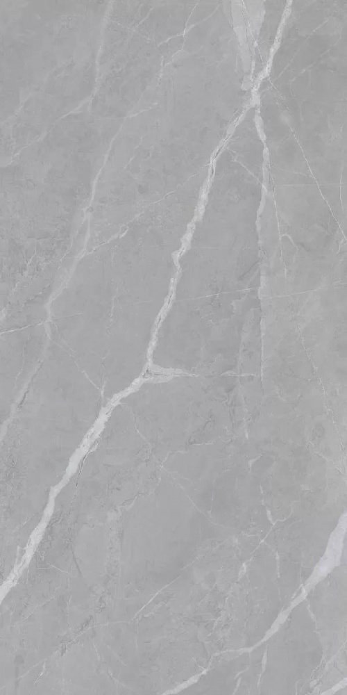 Clovia Gris Glossy