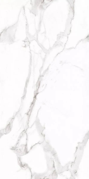  Venato Bianco Glossy