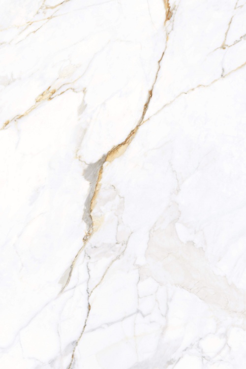  955 Apollo White POLI