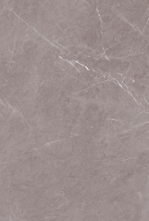  1101 Monte Taupe CARV