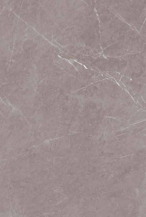  1101 Monte Taupe CARV
