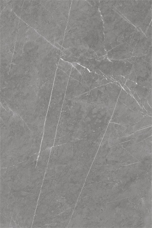  1081 Monte Grey CARV