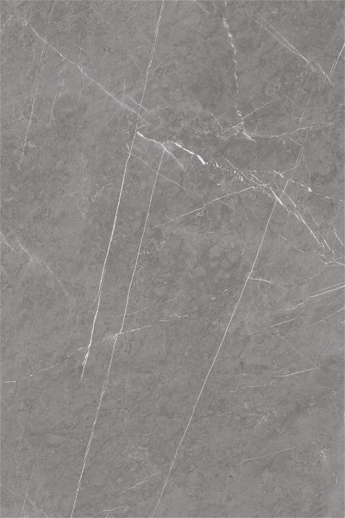  1081 Monte Grey CARV