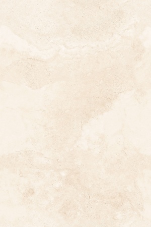  2206 Negres Beige MATT