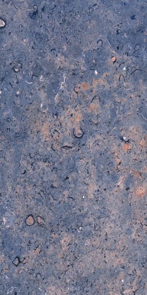  981 Dstone POLI