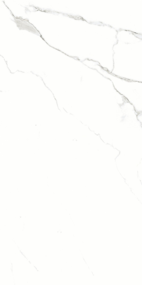  905 Silver Shine 9 mm POLI