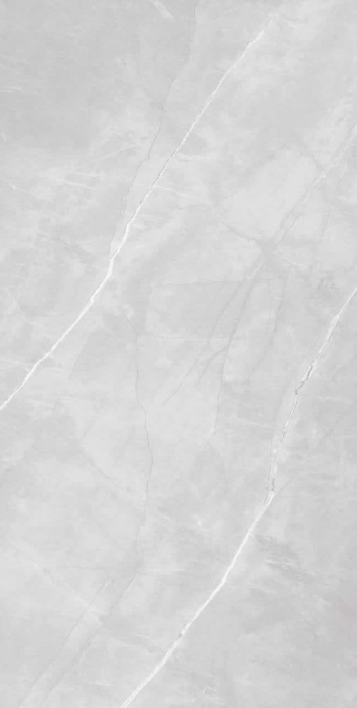  446 Armani Romano 5.5 mm POLI