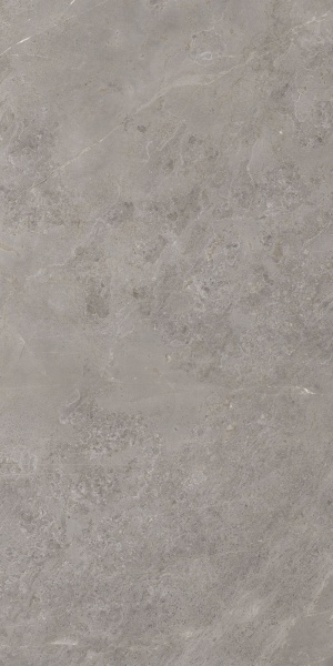  915 Luish Gris CARV